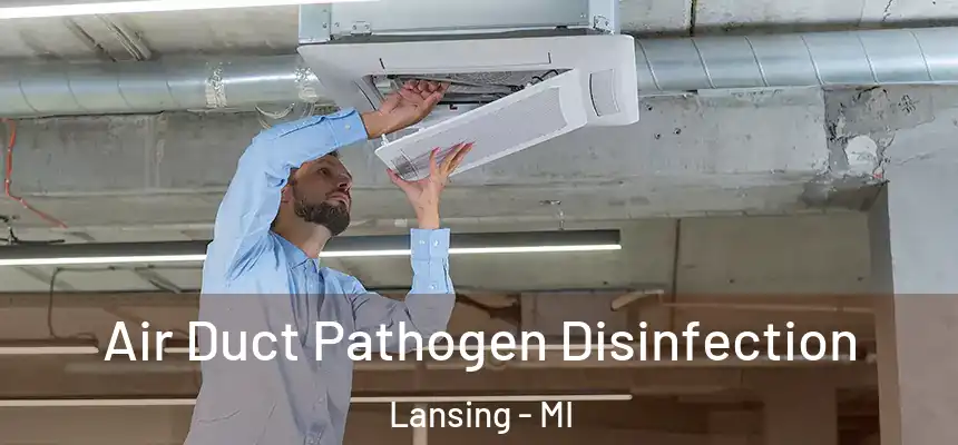 Air Duct Pathogen Disinfection Lansing - MI
