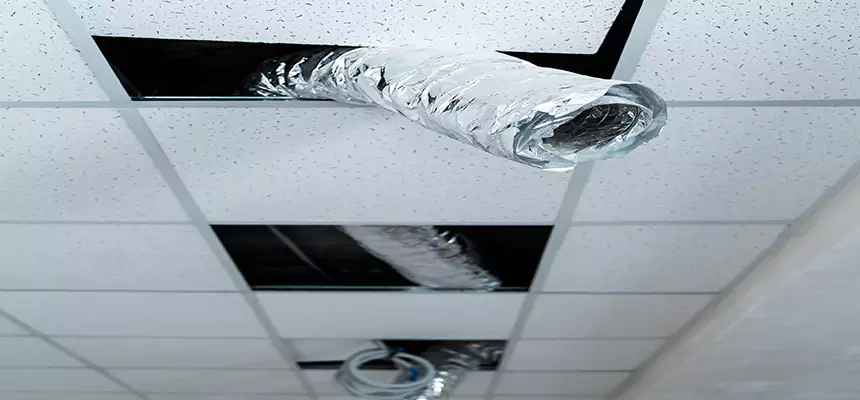 Our Air Duct Pet Hair Removal Services in Lansing, MI