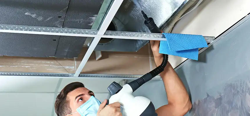 Our Air Duct Rodent Removal Services in Lansing, MI