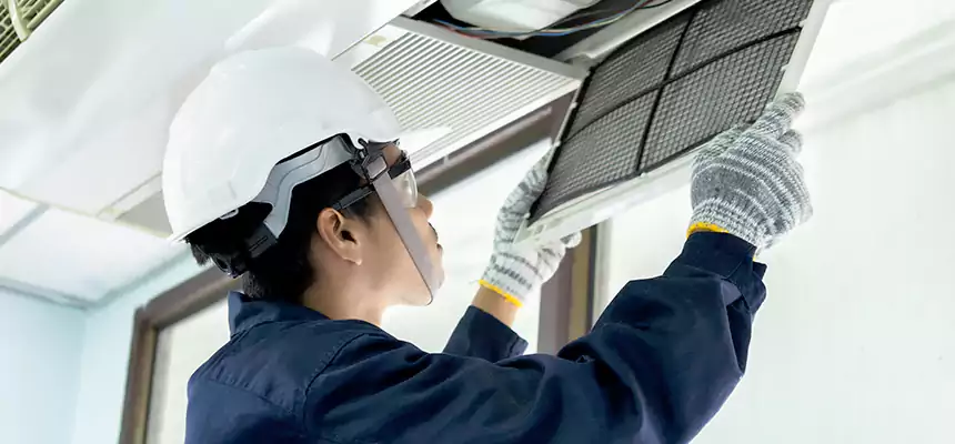 Our Mold & Mildew Removal from Air Ducts Services in Lansing, MI