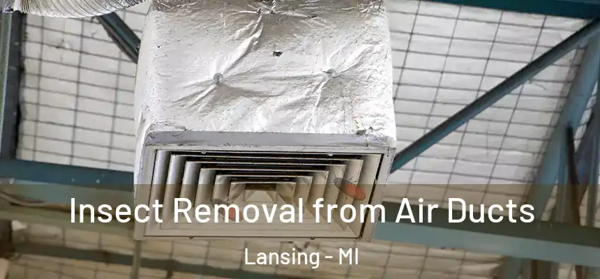  Insect Removal from Air Ducts Lansing - MI