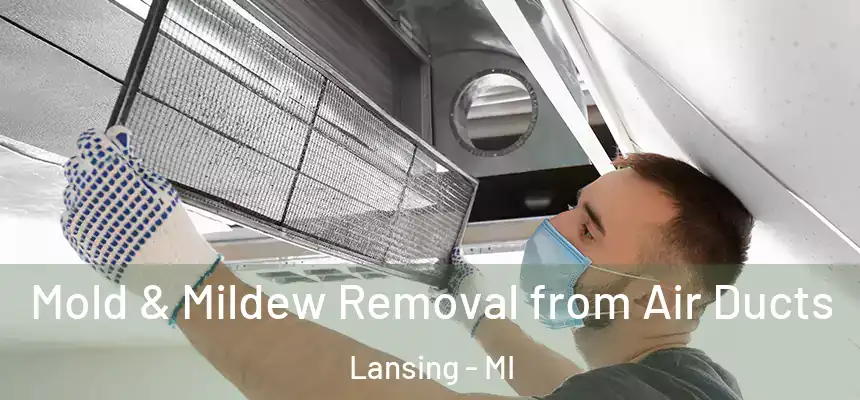 Mold & Mildew Removal from Air Ducts Lansing - MI