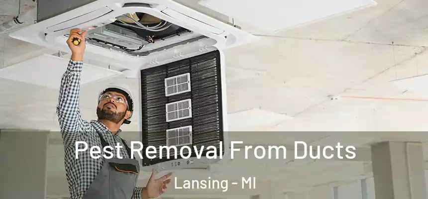 Pest Removal From Ducts Lansing - MI