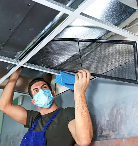 Professional Air Duct Pollen Cleaning in Lansing, MI