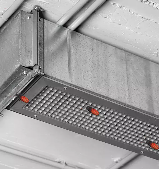 Affordable Insect Removal from Air Ducts in Lansing, MI