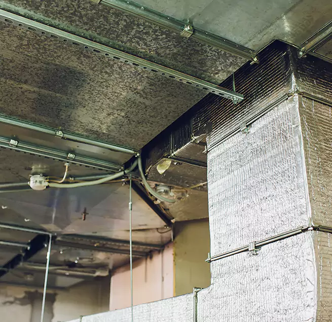 Why Homeowners & Businesses Trust Us in Lansing, MI?