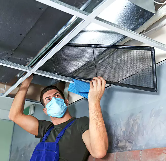 Why Homeowners Businesses Trust Us in Lansing, MI