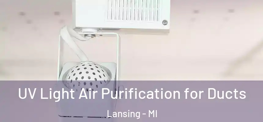  UV Light Air Purification for Ducts Lansing - MI